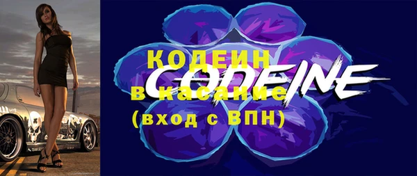 apvp Иннополис
