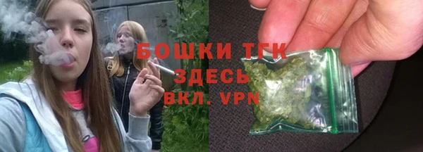 apvp Иннополис