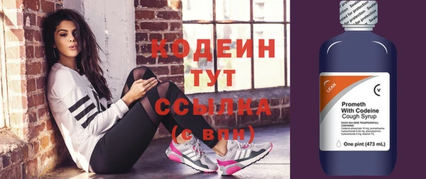 apvp Иннополис