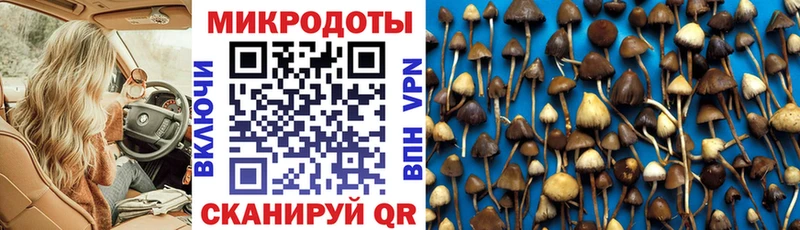Псилоцибиновые грибы GOLDEN TEACHER  Купить  Искитим 